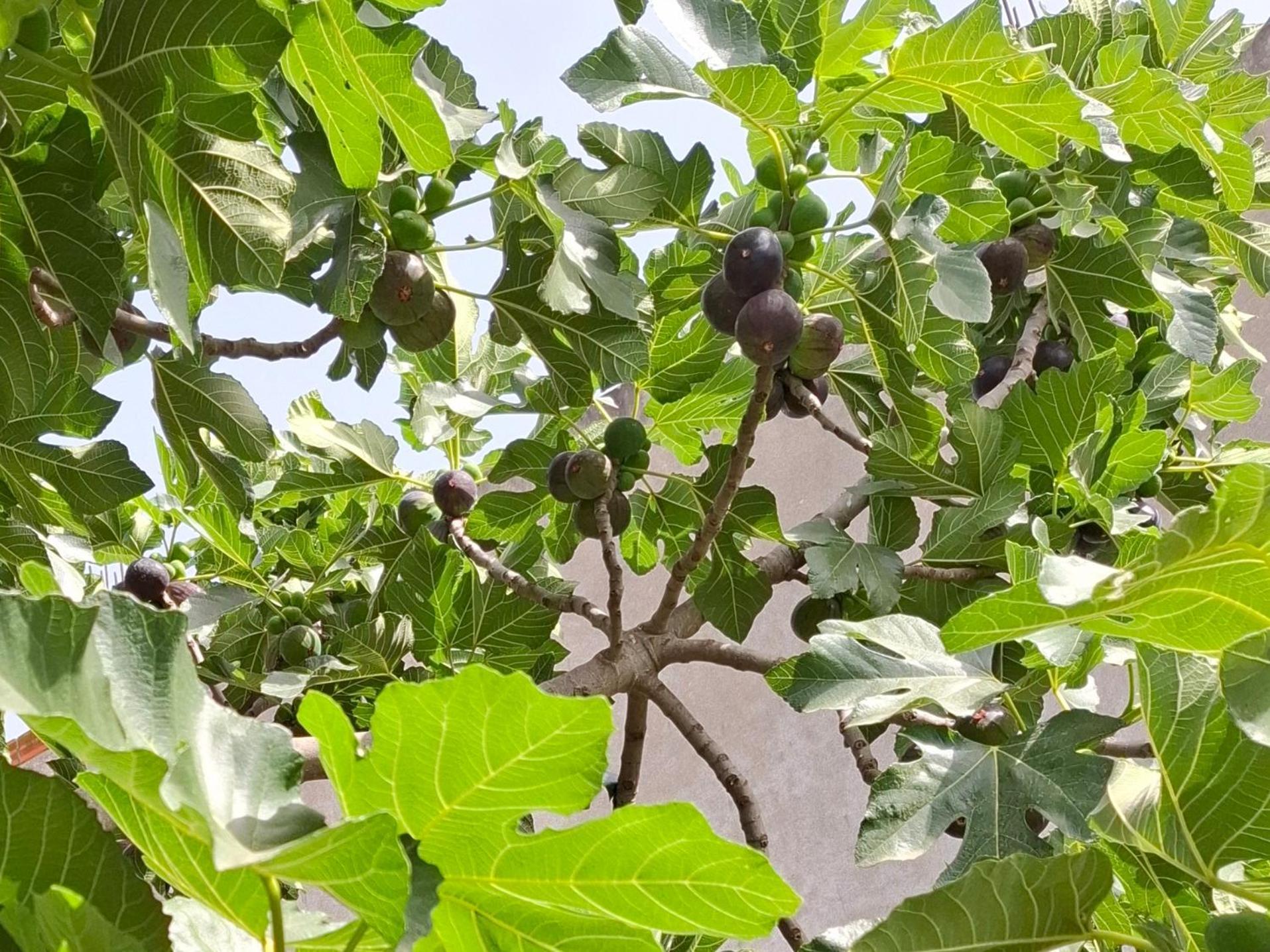 Vila Noar Vlorë 外观 照片